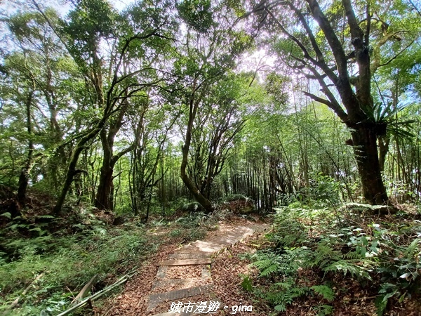 20211231_114608.jpg 20211231_114608.jpg