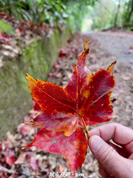 20211231_120055.jpg 20211231_120055.jpg