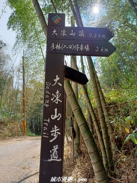 20211231_115338.jpg 20211231_115338.jpg