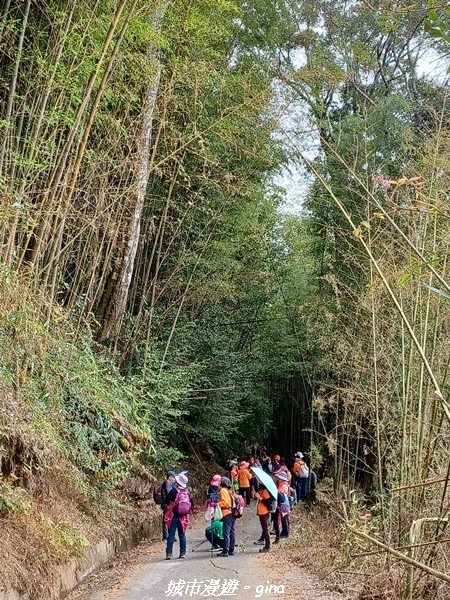 20211231_115744.jpg 20211231_115744.jpg