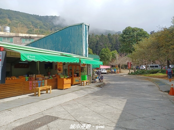 20211231_122824.jpg 20211231_122824.jpg