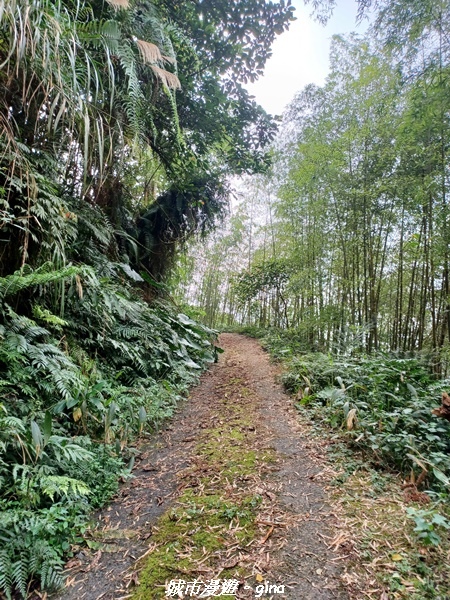 【嘉義番路】悠悠靜靜。 小百岳集起來。 No61小百岳~大湖