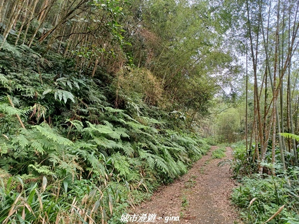 【嘉義番路】悠悠靜靜。 小百岳集起來。 No61小百岳~大湖