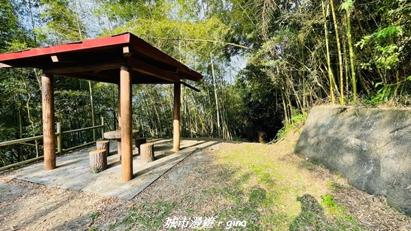 【嘉義番路】悠悠靜靜。 小百岳集起來。 No61小百岳~大湖