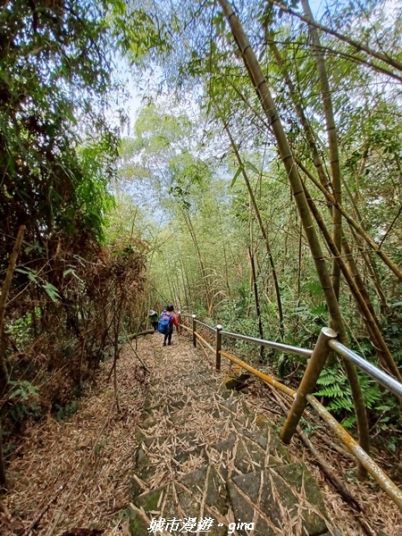 【嘉義番路】悠悠靜靜。 小百岳集起來。 No61小百岳~大湖