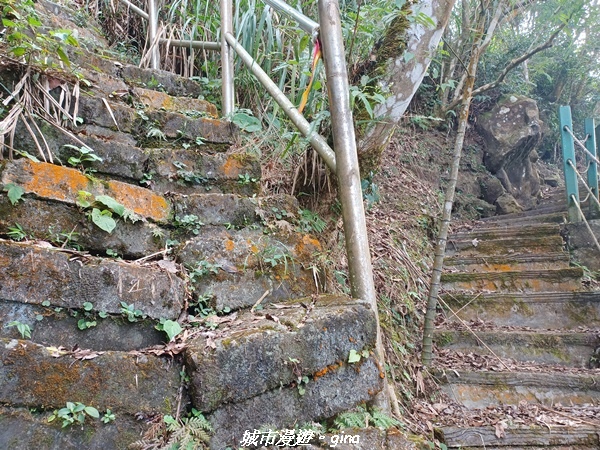 【嘉義番路】悠悠靜靜。 小百岳集起來。 No61小百岳~大湖