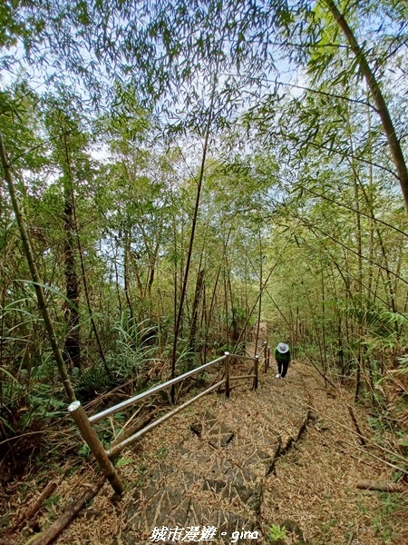 【嘉義番路】悠悠靜靜。 小百岳集起來。 No61小百岳~大湖