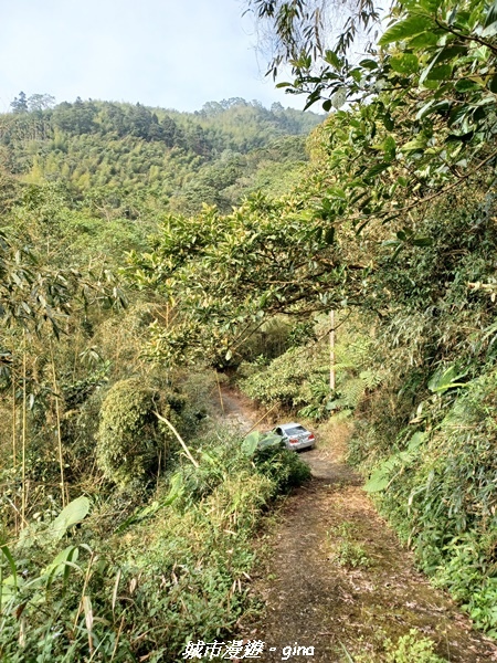 【嘉義番路】悠悠靜靜。 小百岳集起來。 No61小百岳~大湖