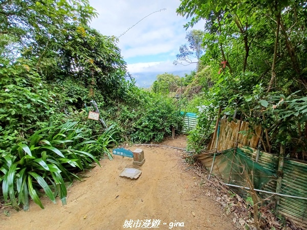 【台北士林】便捷好親山。 No9小百岳劍潭山