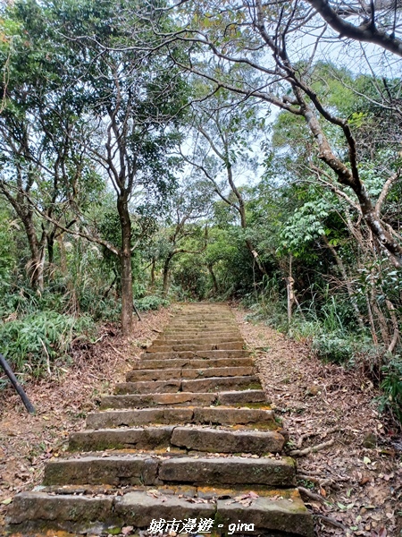 【台北內湖】山頂好眺望。 No8小百岳_大崙頭尾山親山步道