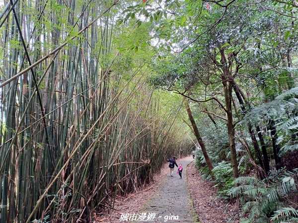 【台北內湖】山頂好眺望。 No8小百岳_大崙頭尾山親山步道