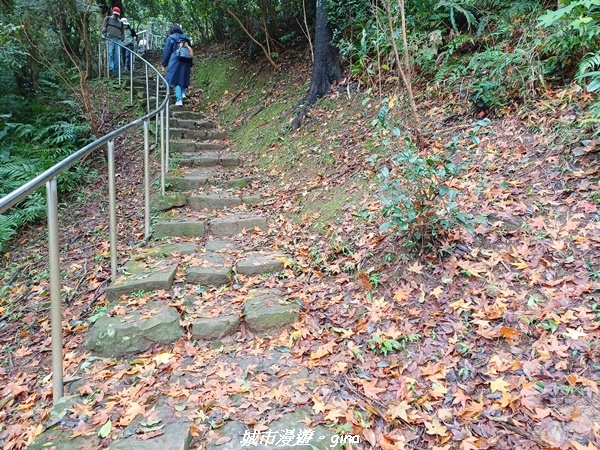 【新北汐止】古樸山徑。 No.12小百岳汐止大尖山