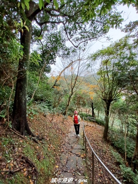 【新北汐止】古樸山徑。 No.12小百岳汐止大尖山