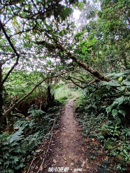 【新北深坑】親民山徑。 No14小百岳~土庫岳