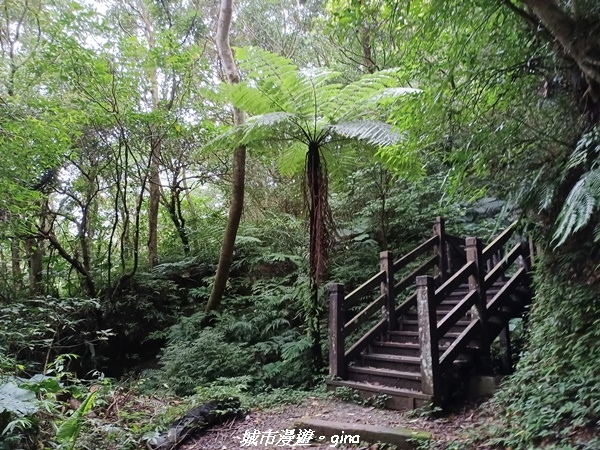 【新北深坑】親民山徑。 No14小百岳~土庫岳