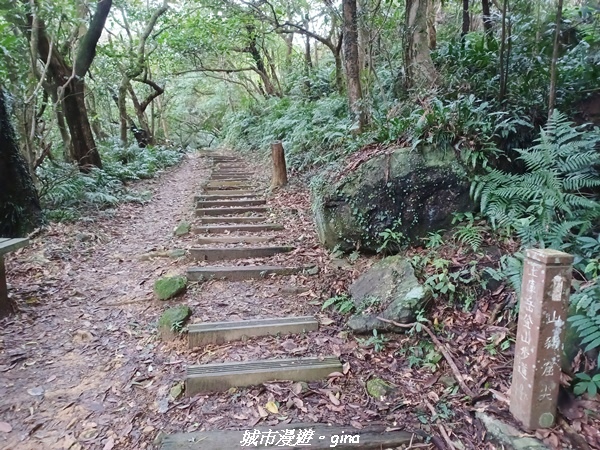 【新北深坑】親民山徑。 No14小百岳~土庫岳