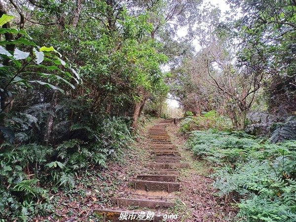 【新北深坑】親民山徑。 No14小百岳~土庫岳