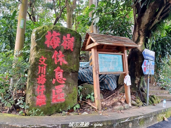 【台南楠西】滿滿的雲海太驚豔。 小百岳集起來。 No67小百