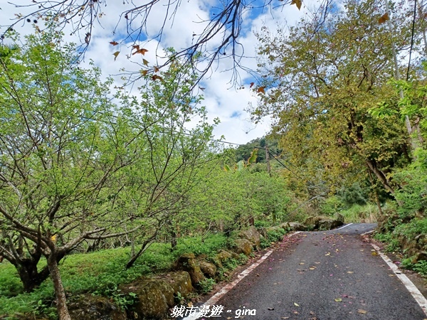 20220130_100508.jpg 20220130_100508.jpg