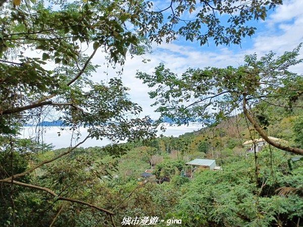 20220130_101100.jpg 20220130_101100.jpg