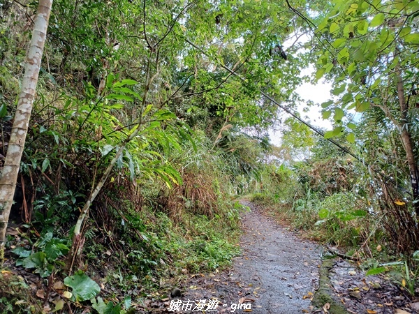 20220130_101009.jpg 20220130_101009.jpg