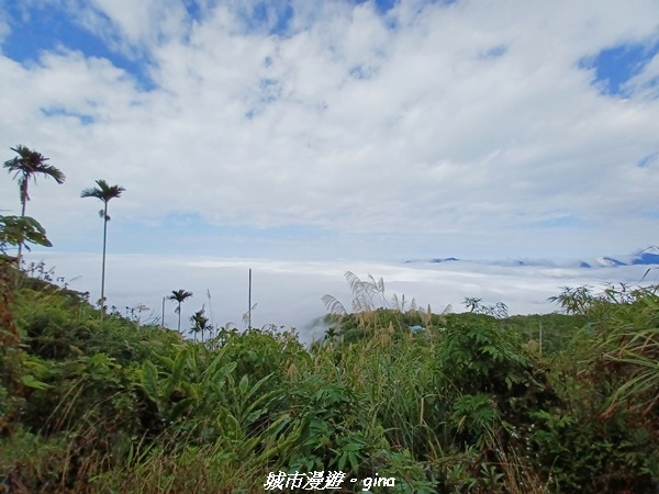 20220130_101916.jpg 20220130_101916.jpg