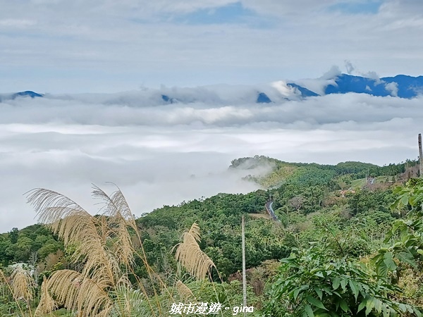 【台南楠西】滿滿的雲海太驚豔。 小百岳集起來。 No67小百