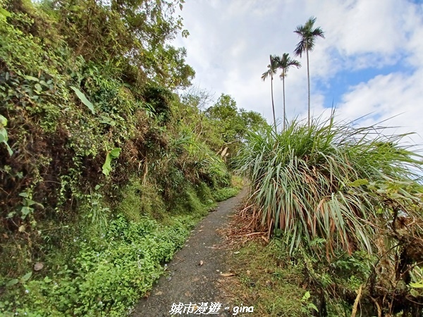 20220130_101922.jpg 20220130_101922.jpg