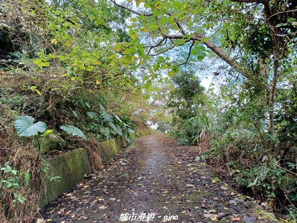 20220130_101437.jpg 20220130_101437.jpg