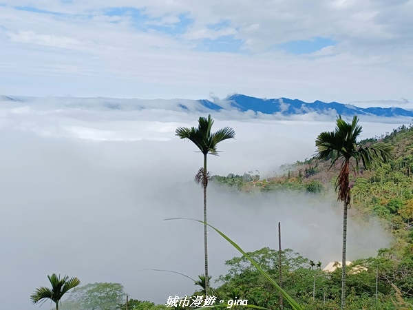 20220130_102319.jpg 20220130_102319.jpg