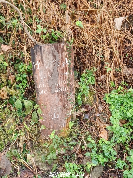 20220130_102951.jpg 20220130_102951.jpg