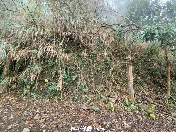 20220130_103107.jpg 20220130_103107.jpg