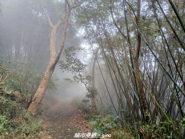 20220130_103854.jpg 20220130_103854.jpg