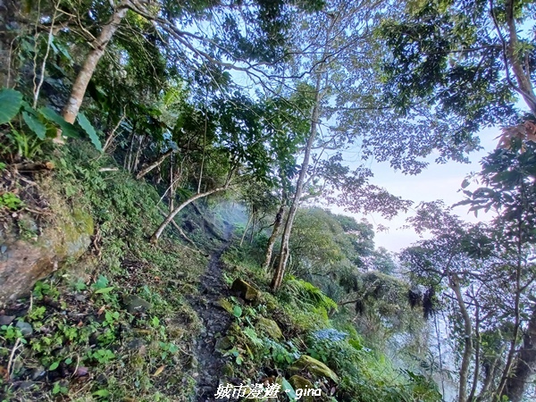 20220130_105616.jpg 20220130_105616.jpg