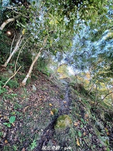 20220130_110559.jpg 20220130_110559.jpg