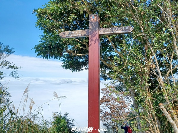 20220130_112215.jpg 20220130_112215.jpg