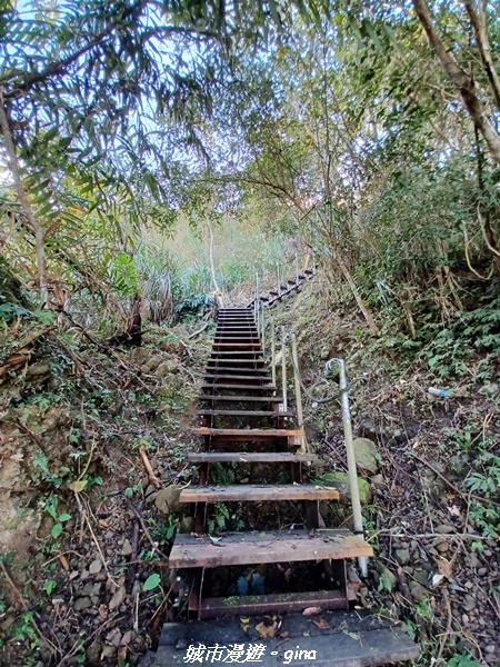 20220130_111703.jpg 20220130_111703.jpg