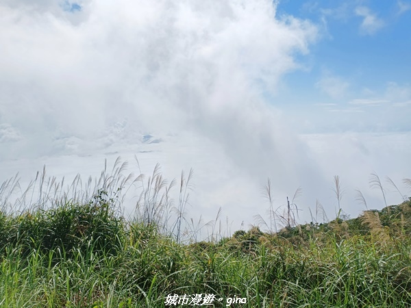 20220130_112351.jpg 20220130_112351.jpg