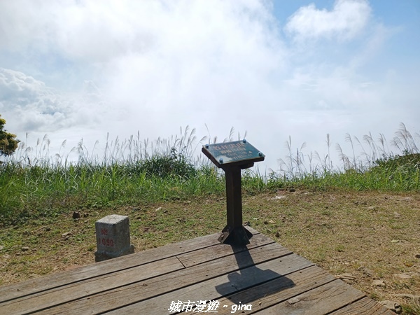 20220130_112629.jpg 20220130_112629.jpg