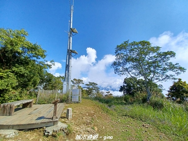 20220130_113138.jpg 20220130_113138.jpg