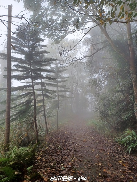 20220130_121451.jpg 20220130_121451.jpg