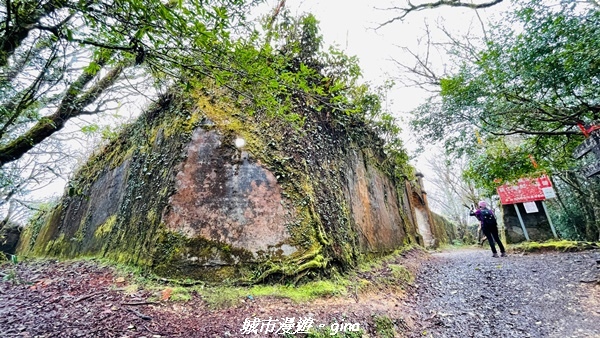 【新竹尖石】蜿蜒車程比山行還辛苦。No28小百岳~李崠山步道