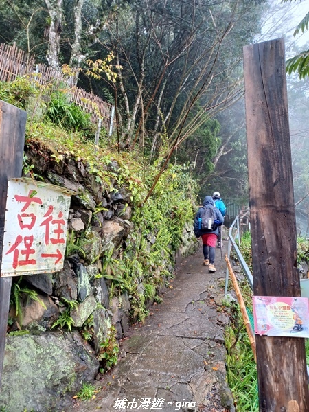 【新竹尖石】蜿蜒車程比山行還辛苦。No28小百岳~李崠山步道