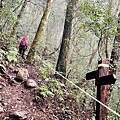 20220204_102924.jpg