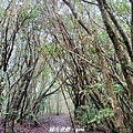 20220204_112826.jpg