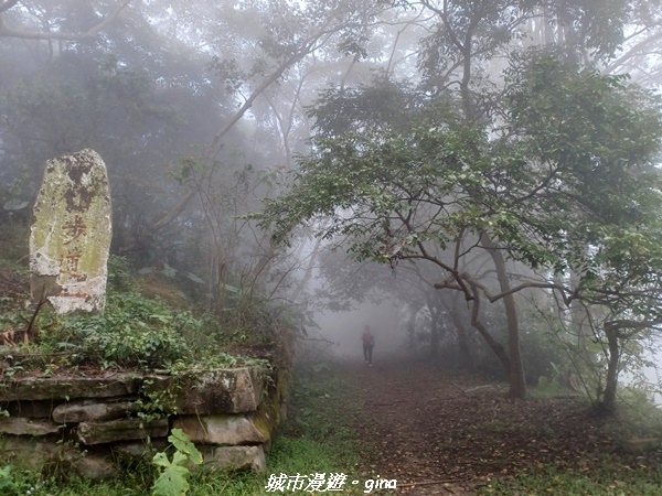 【台南南化】迷霧山徑。 小百岳集起來。 No.70小百岳~刣