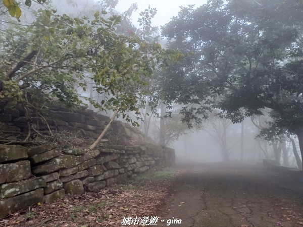 【台南南化】迷霧山徑。 小百岳集起來。 No.70小百岳~刣