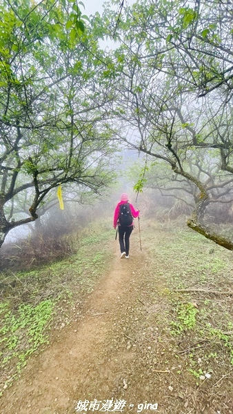 【台南南化】迷霧山徑。 小百岳集起來。 No.70小百岳~刣