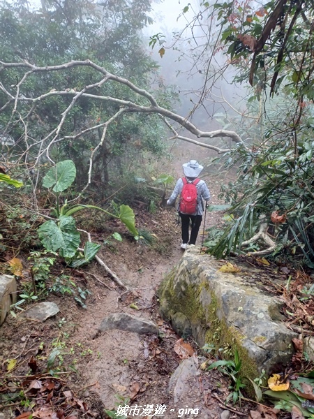 【台南南化】迷霧山徑。 小百岳集起來。 No.70小百岳~刣