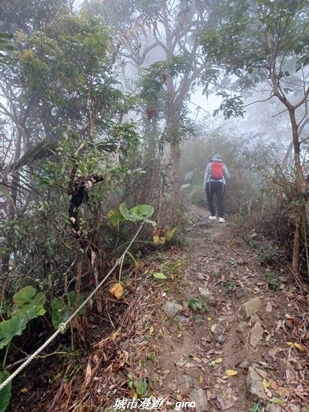 【台南南化】迷霧山徑。 小百岳集起來。 No.70小百岳~刣